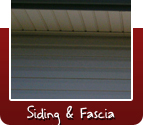 Siding and Fascia